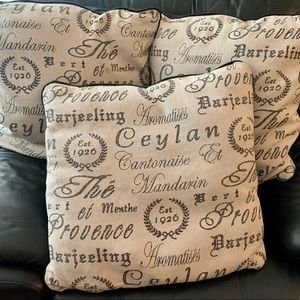 Three 20” square decorative throw pillows (set)